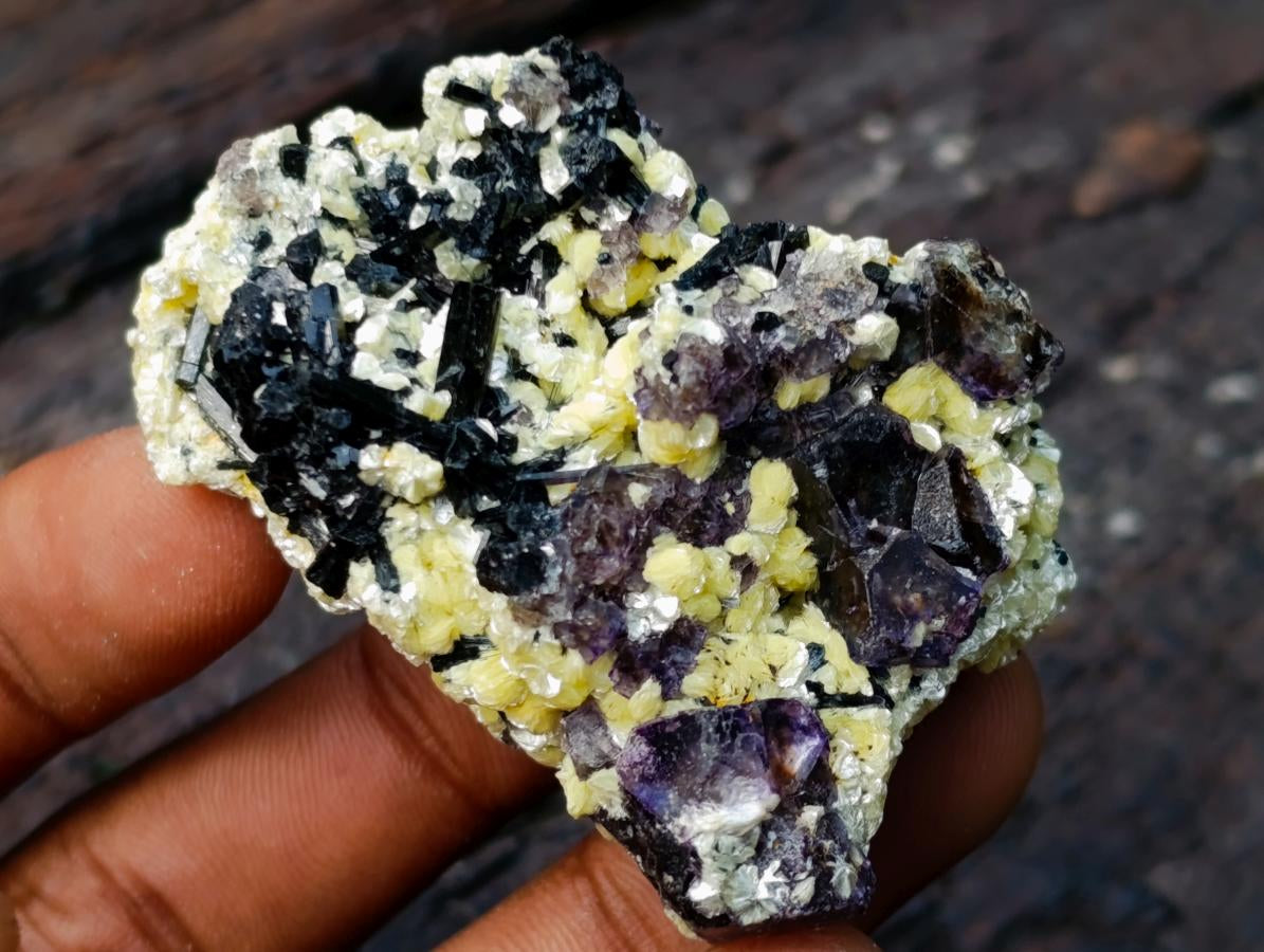 Natural Mixed Set of 20 African Mineral Crystal and Fossil Specimens in a Wooden Display Box x 1 From Southern Africa