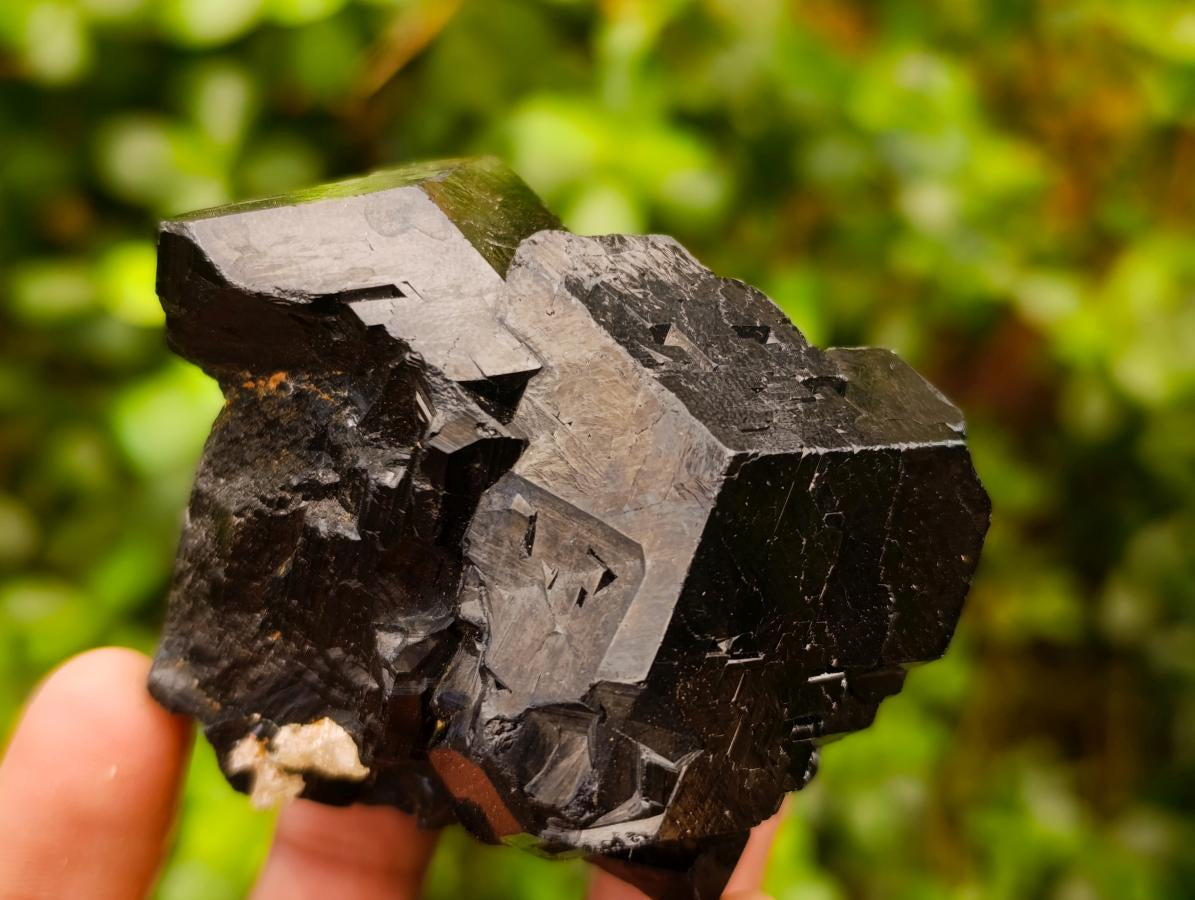 Natural Shiny Schorl Tourmaline with a Double Mercedes Star terminated Crystal Specimen x 1 From Erongo, Namibia