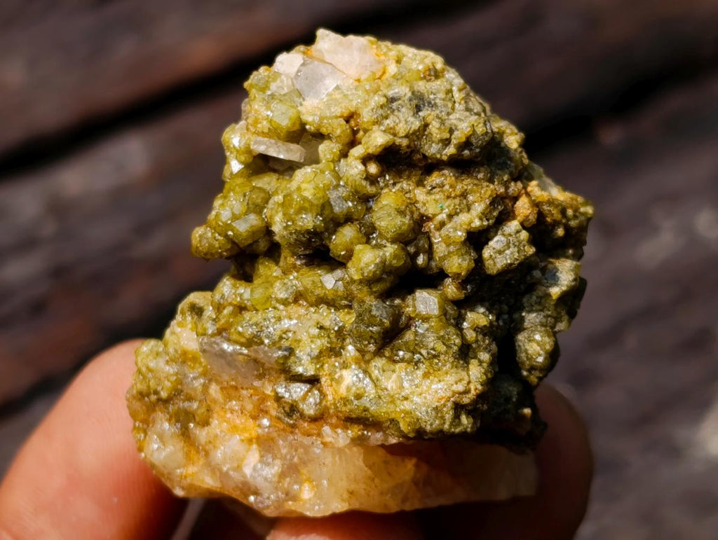 Natural Mixed Set of 20 African Mineral Crystal and Fossil Specimens in a Wooden Display Box x 1 From Southern Africa