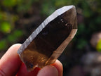 Natural Mixed Set of 20 African Mineral Crystal and Fossil Specimens in a Wooden Display Box x 1 From Southern Africa