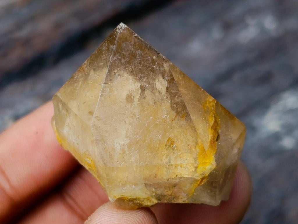 Natural Mixed Set of 20 African Mineral Crystal and Fossil Specimens in a Wooden Display Box x 1 From Southern Africa