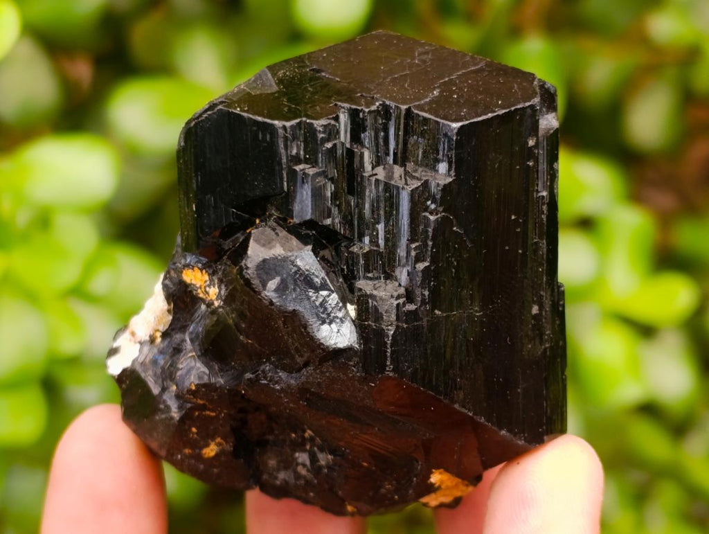 Natural Shiny Schorl Tourmaline with a Double Mercedes Star terminated Crystal Specimen x 1 From Erongo, Namibia