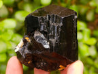 Natural Shiny Schorl Tourmaline with a Double Mercedes Star terminated Crystal Specimen x 1 From Erongo, Namibia