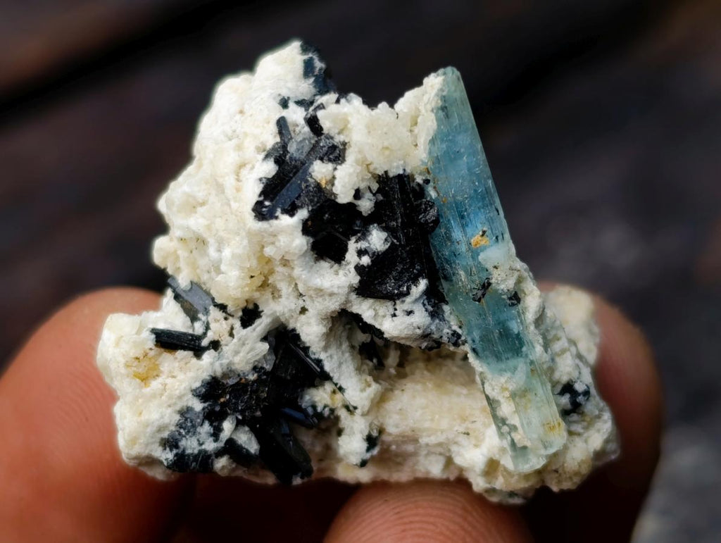 Natural Mixed Set of 20 African Mineral Crystal and Fossil Specimens in a Wooden Display Box x 1 From Southern Africa