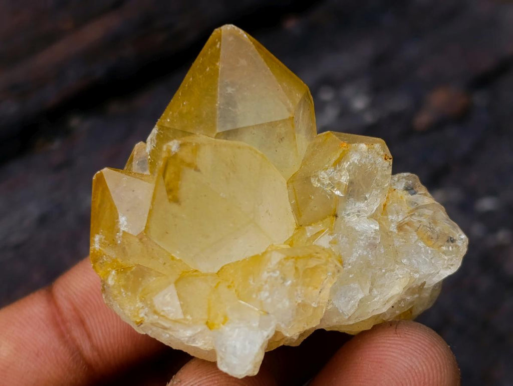Natural Mixed Set of 20 African Mineral Crystal and Fossil Specimens in a Wooden Display Box x 1 From Southern Africa