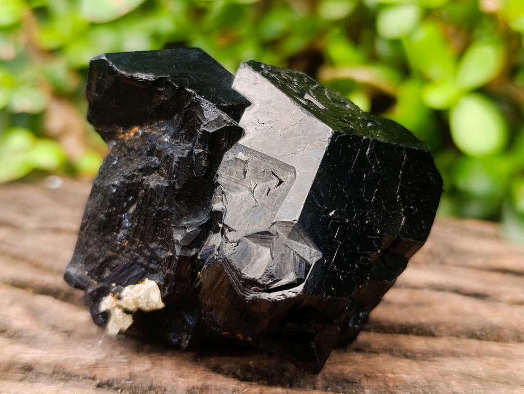 Natural Shiny Schorl Tourmaline with a Double Mercedes Star terminated Crystal Specimen x 1 From Erongo, Namibia