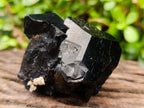 Natural Shiny Schorl Tourmaline with a Double Mercedes Star terminated Crystal Specimen x 1 From Erongo, Namibia