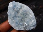 Natural Mixed Set of 20 African Mineral Crystal and Fossil Specimens in a Wooden Display Box x 1 From Southern Africa