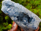 Polished and Natural Crystal Centred Blue Celestite Crystal x 1 From Sakoany Madagascar