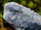 Polished and Natural Crystal Centred Blue Celestite Crystal x 1 From Sakoany Madagascar