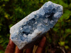 Polished and Natural Crystal Centred Blue Celestite Crystal x 1 From Sakoany Madagascar
