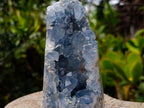 Polished and Natural Crystal Centred Blue Celestite Crystal x 1 From Sakoany Madagascar