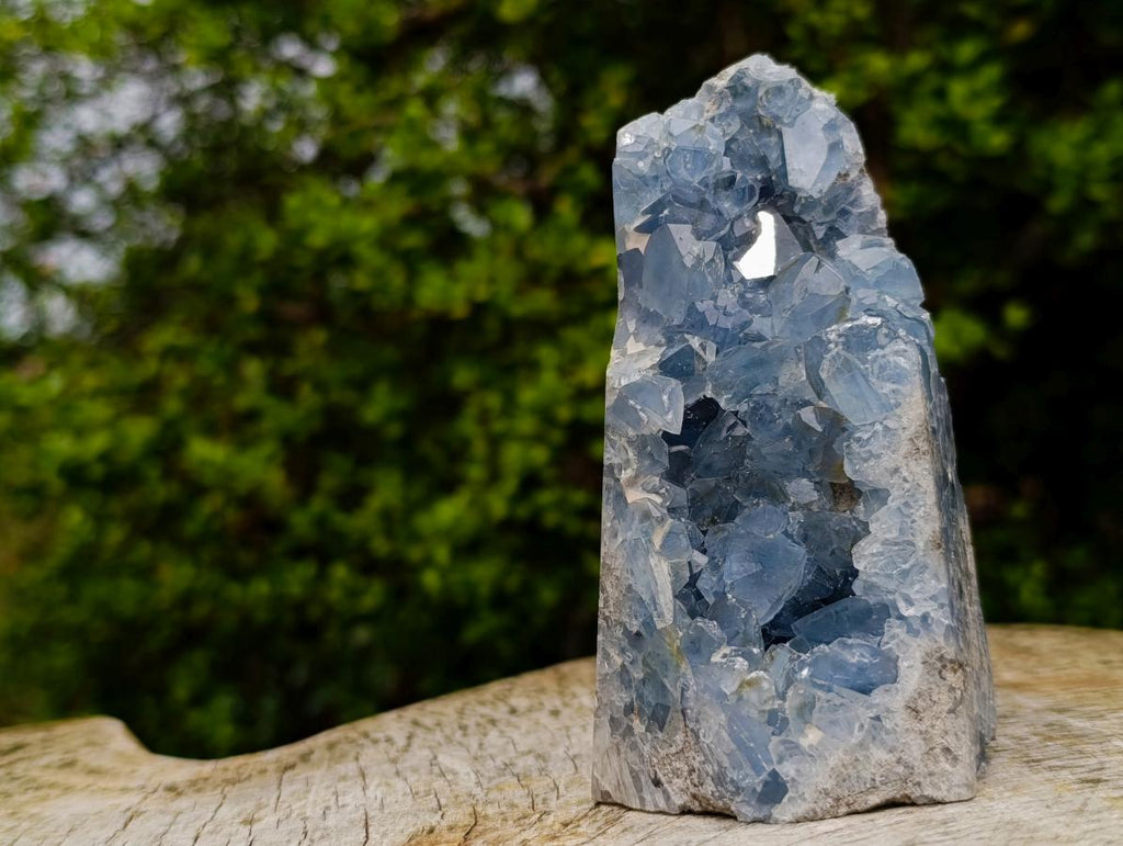 Polished and Natural Crystal Centred Blue Celestite Crystal x 1 From Sakoany Madagascar