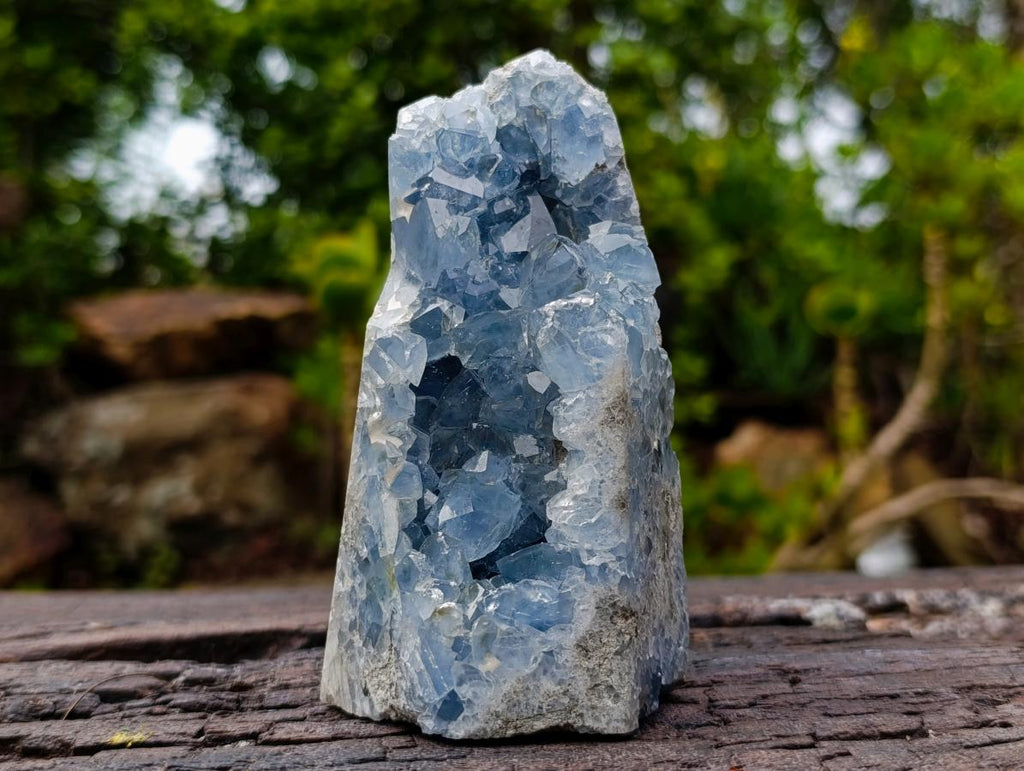 Polished and Natural Crystal Centred Blue Celestite Crystal x 1 From Sakoany Madagascar