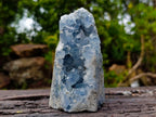 Polished and Natural Crystal Centred Blue Celestite Crystal x 1 From Sakoany Madagascar