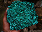 Natural Exquisite Large Silky Rosette Malachite Specimen x 1 From Kasompe, Congo