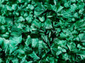 Natural Exquisite Large Silky Rosette Malachite Specimen x 1 From Kasompe, Congo