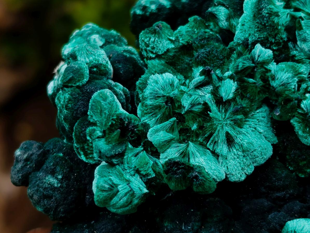Natural Exquisite Large Silky Rosette Malachite Specimen x 1 From Kasompe, Congo