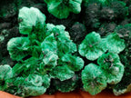 Natural Exquisite Large Silky Rosette Malachite Specimen x 1 From Kasompe, Congo
