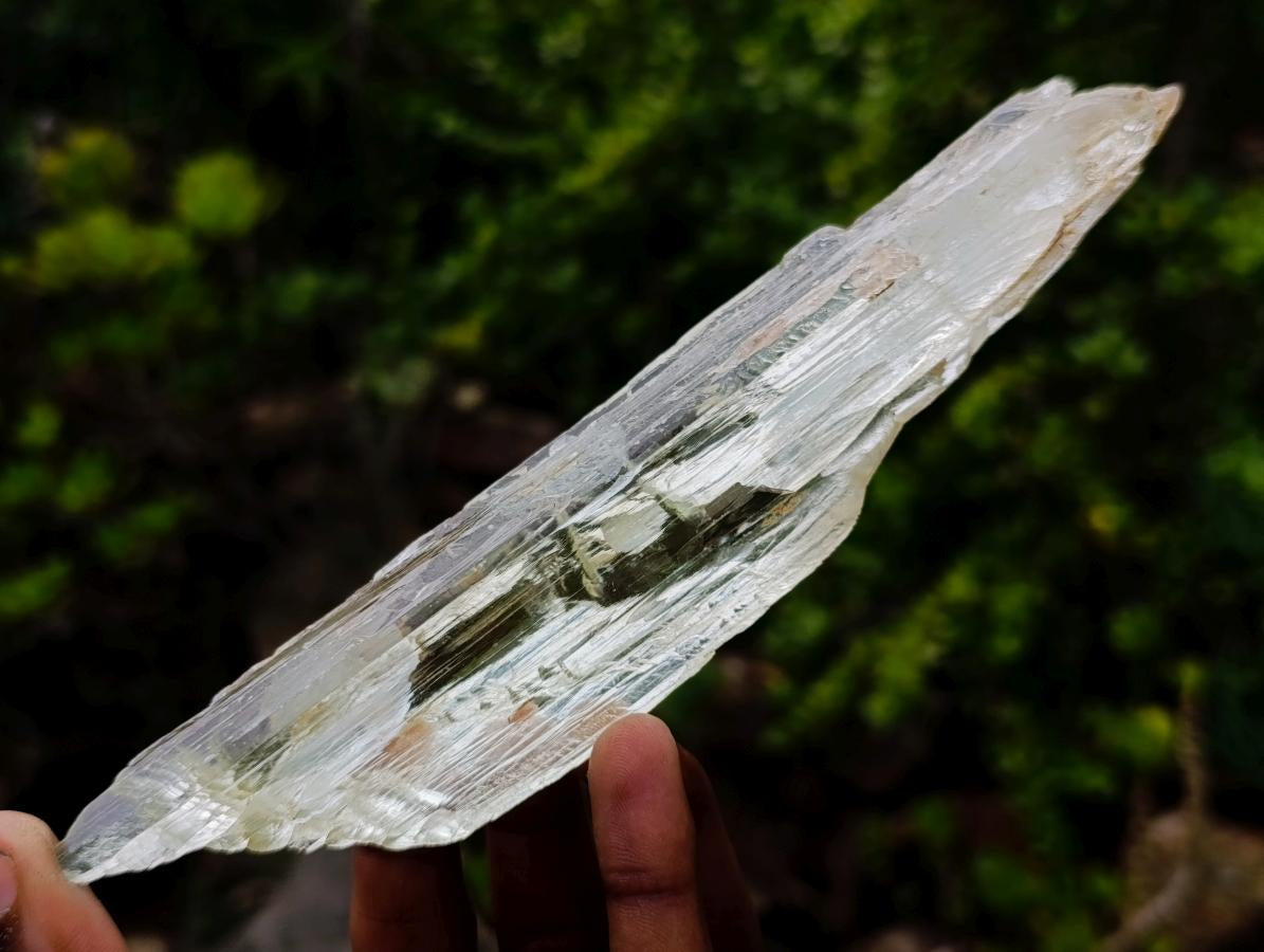 Natural Large Bladed Hiddenite Spodumene Gemmy Crystal x 1 From Afghanistan