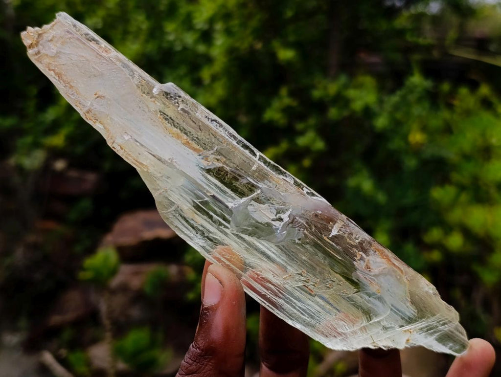 Natural Large Bladed Hiddenite Spodumene Gemmy Crystal x 1 From Afghanistan