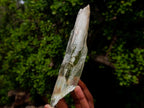 Natural Large Bladed Hiddenite Spodumene Gemmy Crystal x 1 From Afghanistan