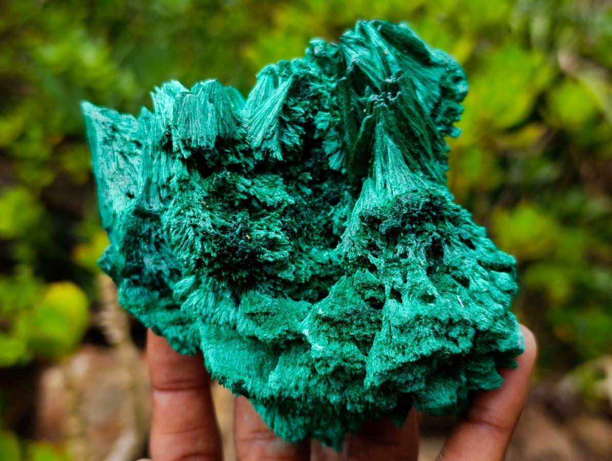Natural Lustrous Fibrous Silky Malachite Specimen x 1 From Kasompe, Congo