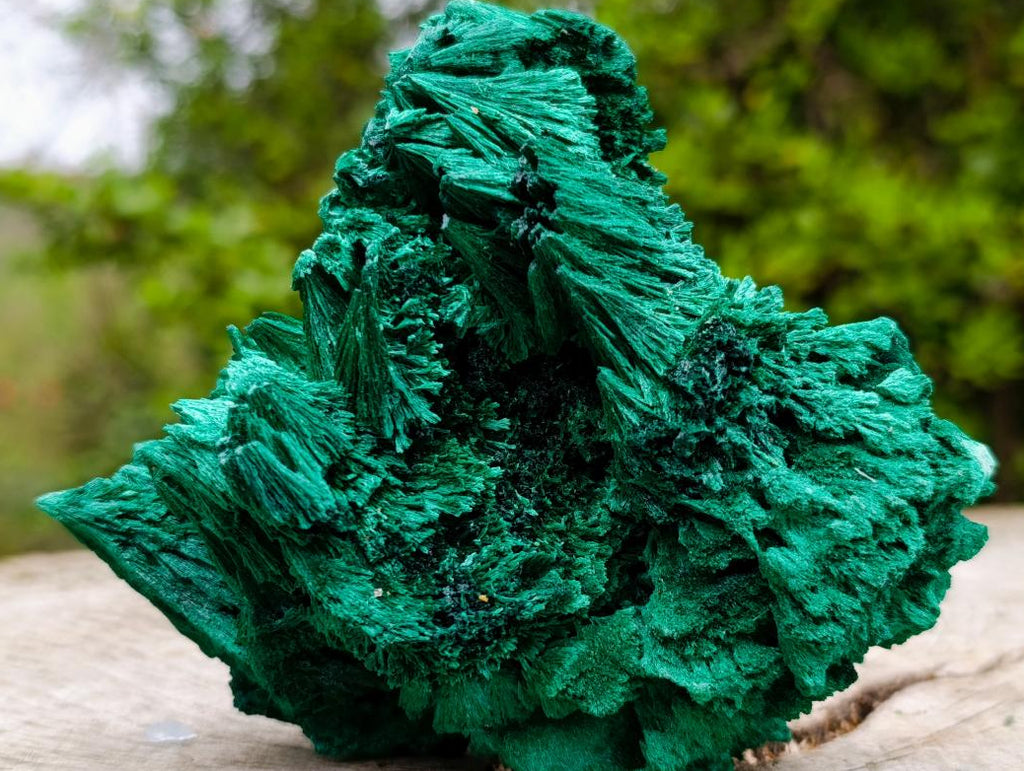 Natural Lustrous Fibrous Silky Malachite Specimen x 1 From Kasompe, Congo
