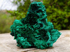 Natural Lustrous Fibrous Silky Malachite Specimen x 1 From Kasompe, Congo
