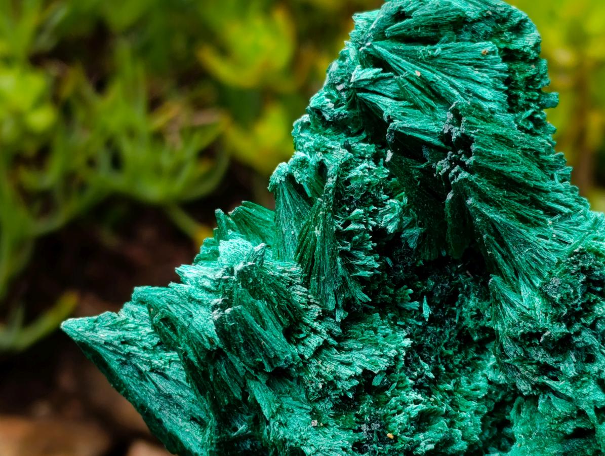 Natural Lustrous Fibrous Silky Malachite Specimen x 1 From Kasompe, Congo