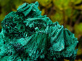 Natural Lustrous Fibrous Silky Malachite Specimen x 1 From Kasompe, Congo
