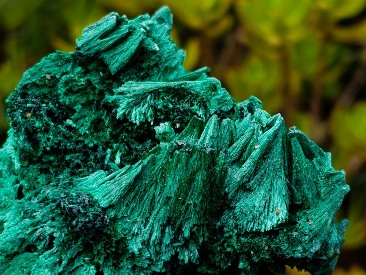 Natural Lustrous Fibrous Silky Malachite Specimen x 1 From Kasompe, Congo