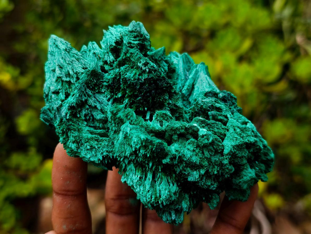 Natural Lustrous Fibrous Silky Malachite Specimen x 1 From Kasompe, Congo