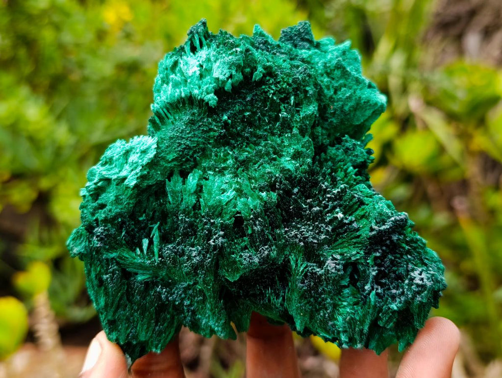 Natural Lustrous Fibrous Silky Malachite Specimen x 1 From Kasompe, Congo