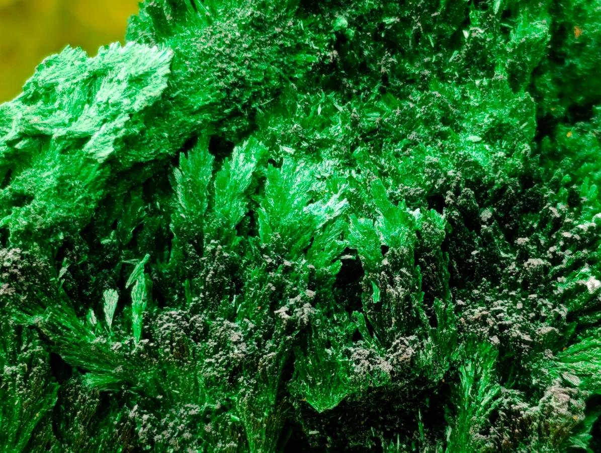 Natural Lustrous Fibrous Silky Malachite Specimen x 1 From Kasompe, Congo