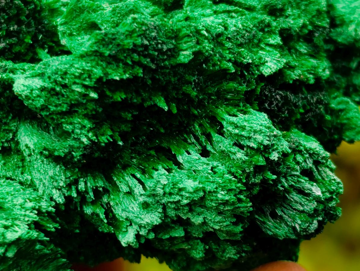 Natural Lustrous Fibrous Silky Malachite Specimen x 1 From Kasompe, Congo