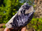 Polished One Side Pair of Butterfly Silver Leaf Lepidolite Pieces x 1 From Zimbabwe
