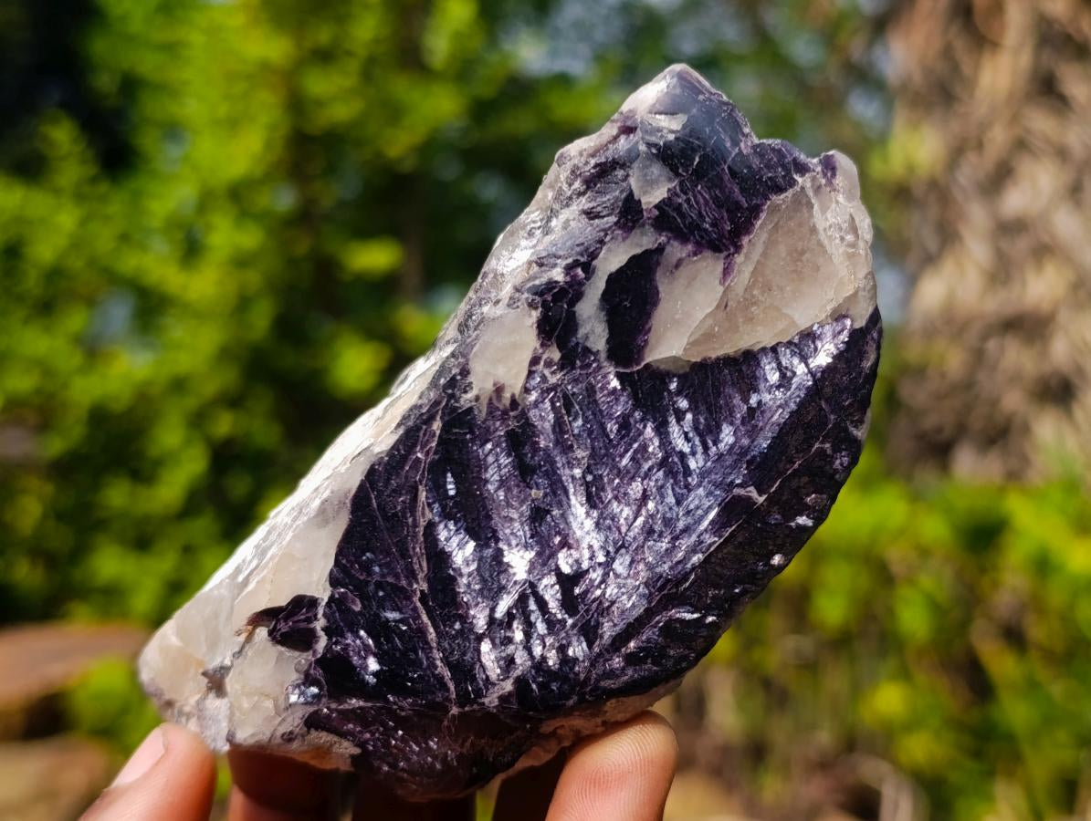 Polished One Side Pair of Butterfly Silver Leaf Lepidolite Pieces x 1 From Zimbabwe
