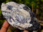Polished One Side Pair of Butterfly Silver Leaf Lepidolite Pieces x 1 From Zimbabwe
