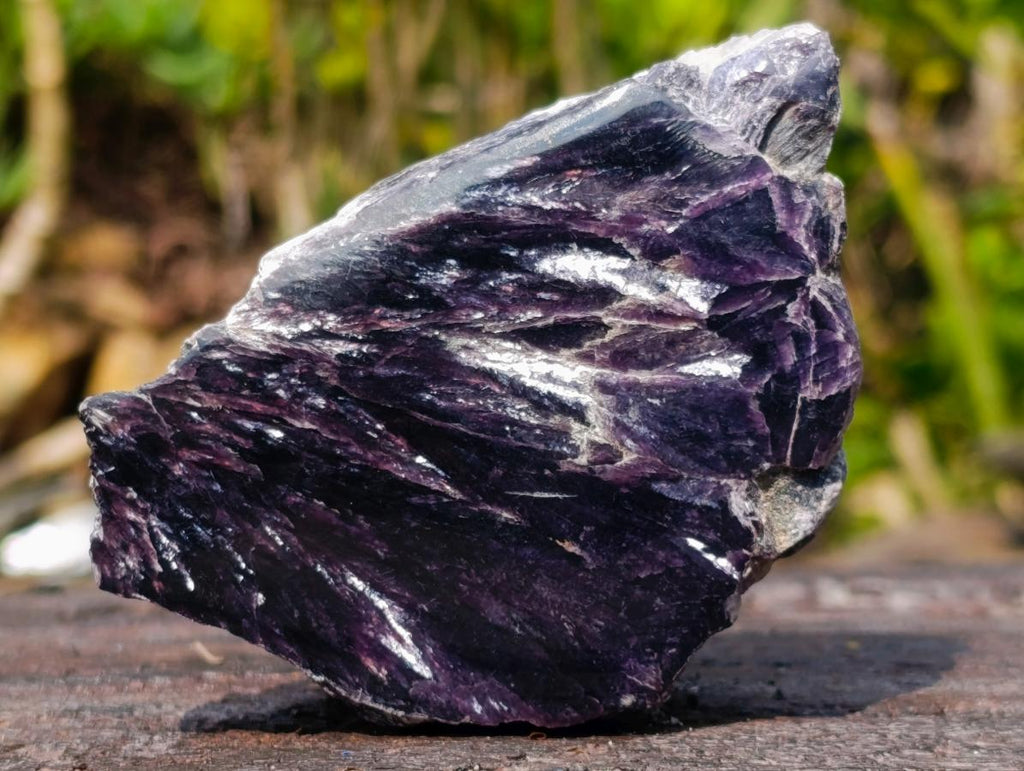 Polished One Side Pair of Butterfly Silver Leaf Lepidolite Pieces x 1 From Zimbabwe
