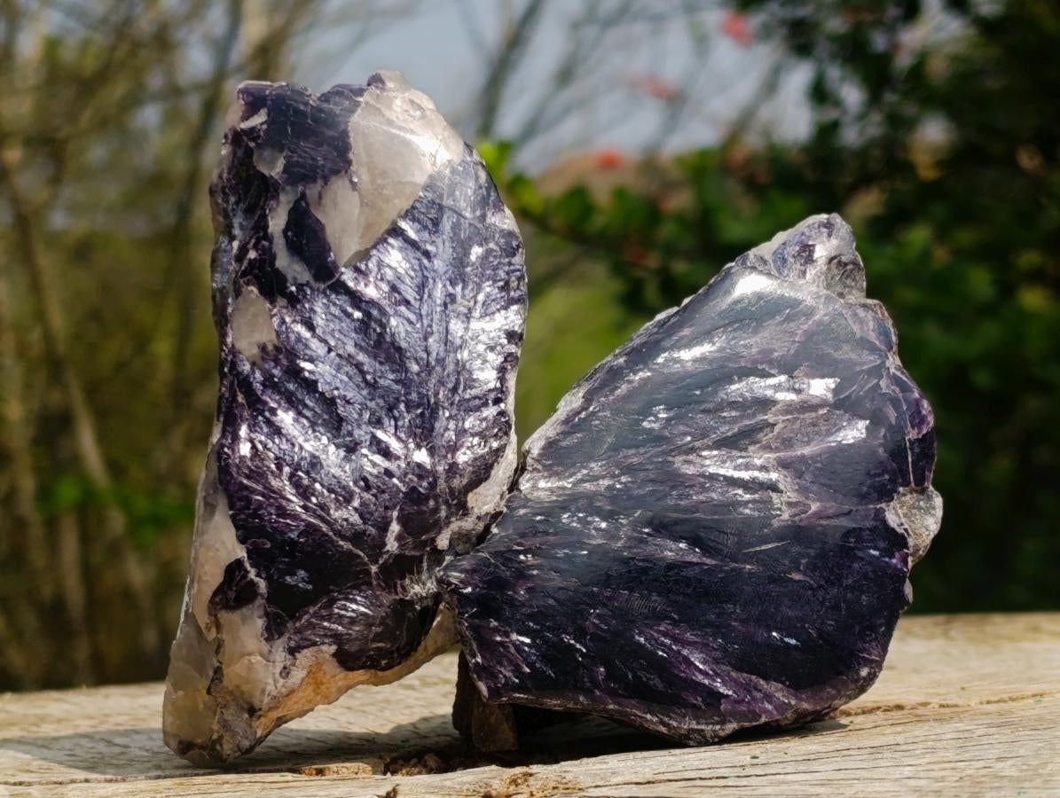 Polished One Side Pair of Butterfly Silver Leaf Lepidolite Pieces x 1 From Zimbabwe
