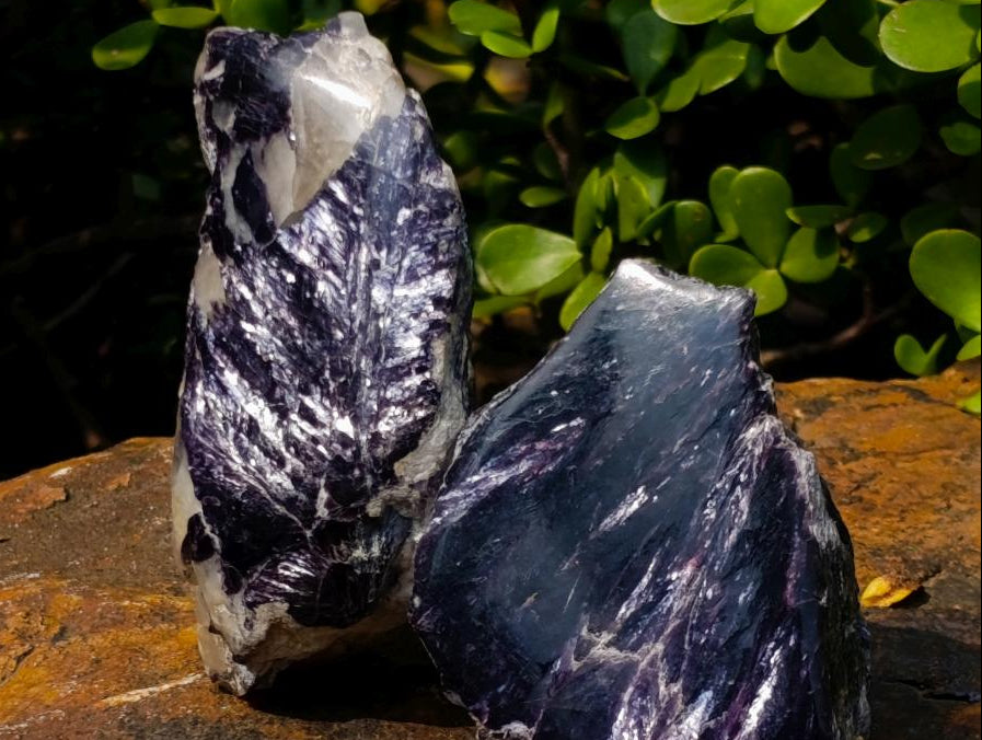 Polished One Side Pair of Butterfly Silver Leaf Lepidolite Pieces x 1 From Zimbabwe