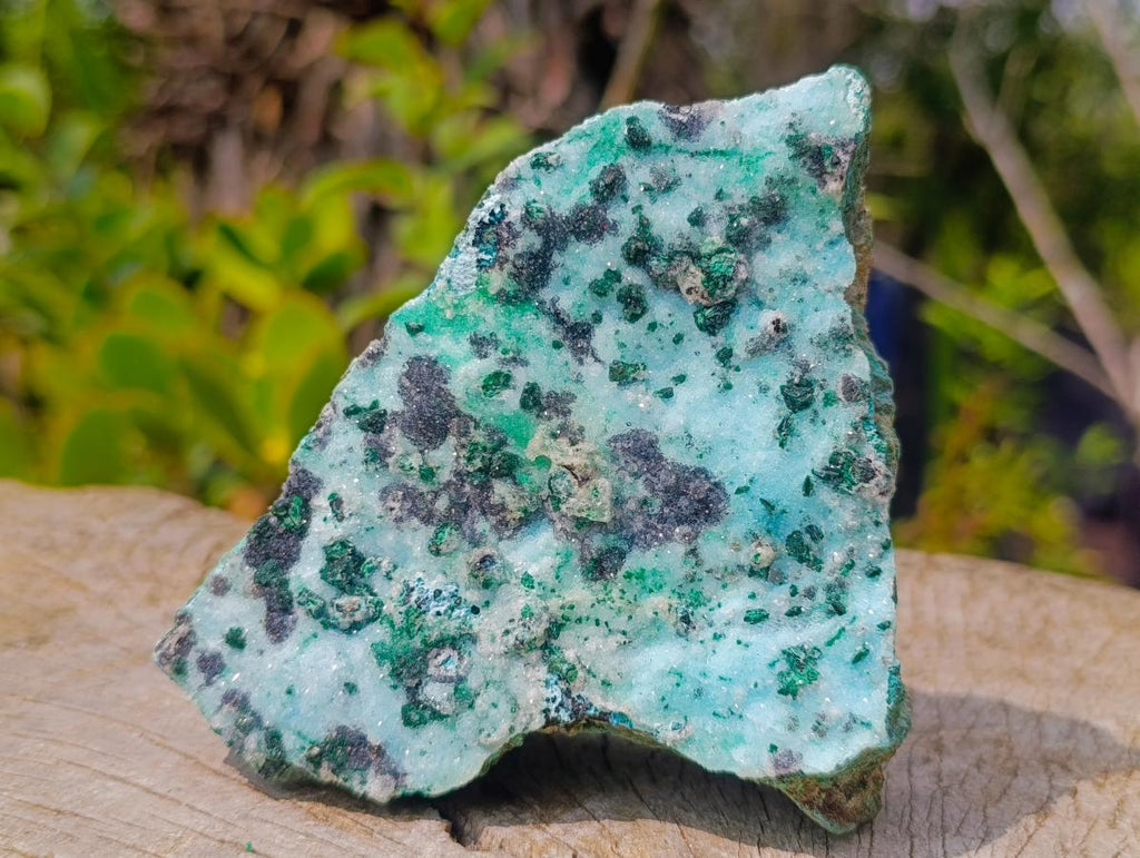 Natural Contrasting Triangular Drusy Coated Chrysocolla with Fibrous and Ball Malachite x 1 From Lupoto Mine, Congo