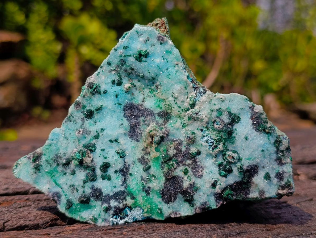 Natural Contrasting Triangular Drusy Coated Chrysocolla with Fibrous and Ball Malachite x 1 From Lupoto Mine, Congo