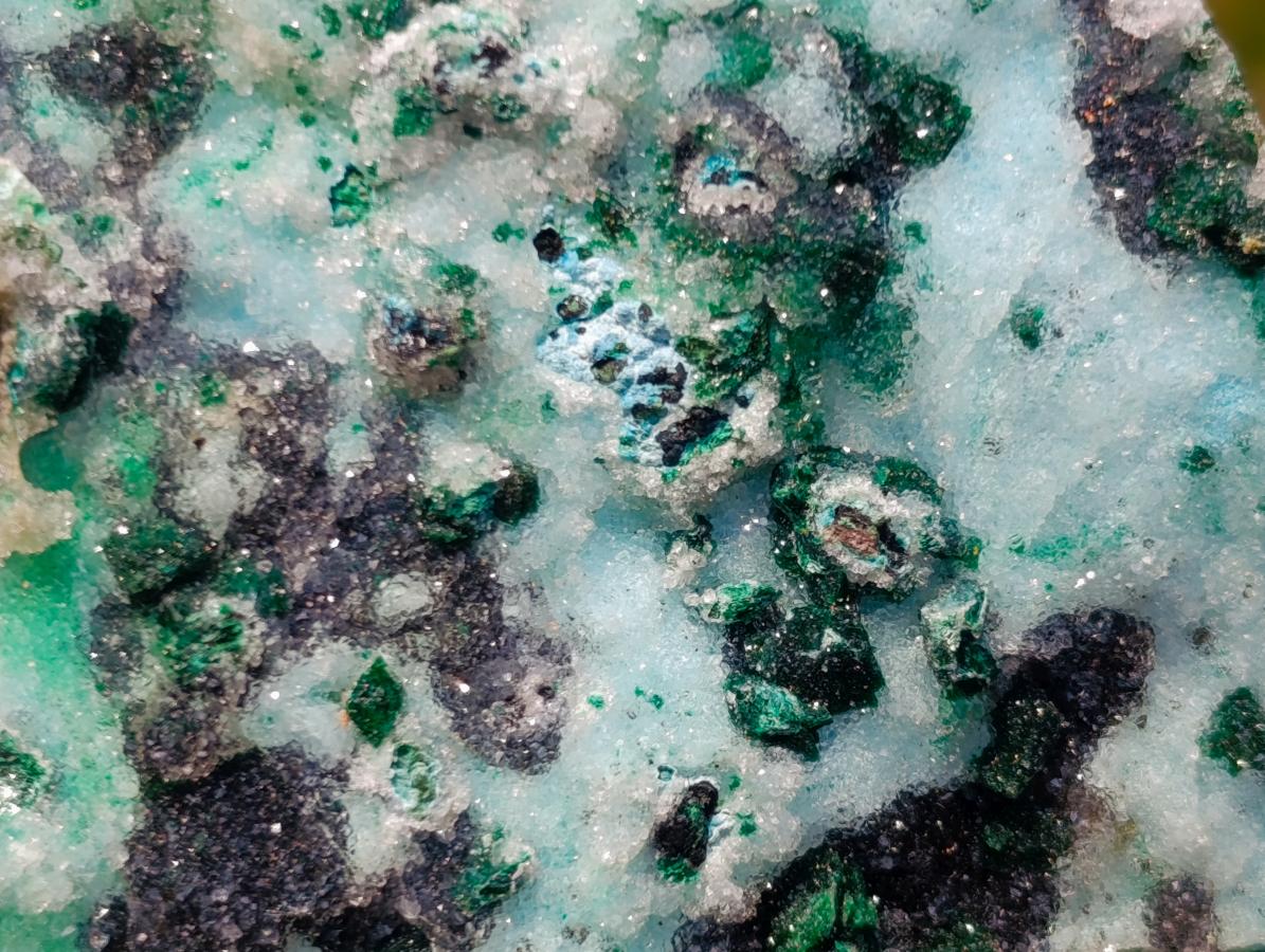 Natural Contrasting Triangular Drusy Coated Chrysocolla with Fibrous and Ball Malachite x 1 From Lupoto Mine, Congo