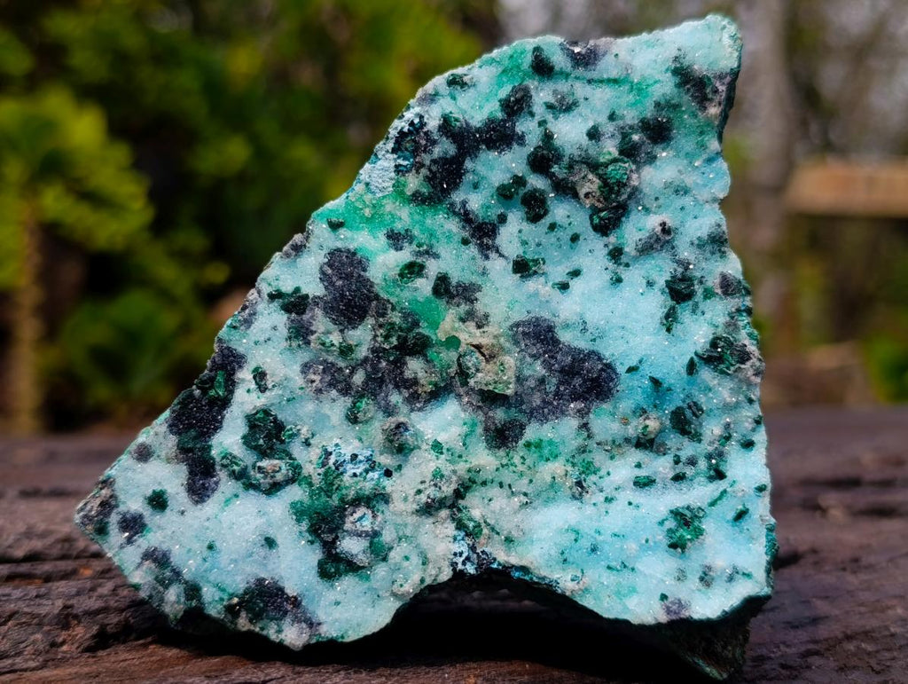 Natural Contrasting Triangular Drusy Coated Chrysocolla with Fibrous and Ball Malachite x 1 From Lupoto Mine, Congo
