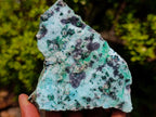 Natural Contrasting Triangular Drusy Coated Chrysocolla with Fibrous and Ball Malachite x 1 From Lupoto Mine, Congo