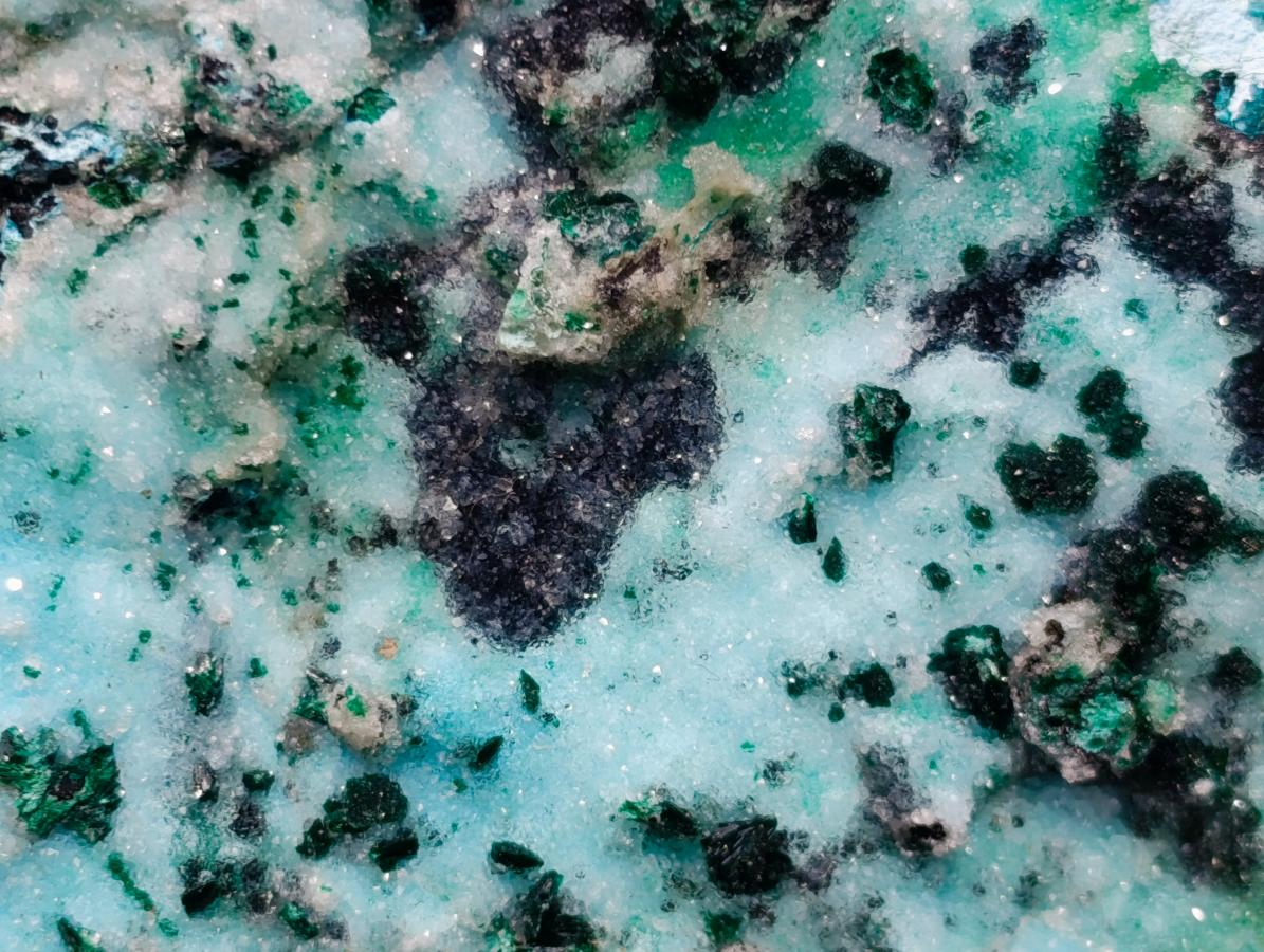 Natural Contrasting Triangular Drusy Coated Chrysocolla with Fibrous and Ball Malachite x 1 From Lupoto Mine, Congo