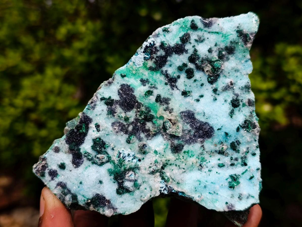 Natural Contrasting Triangular Drusy Coated Chrysocolla with Fibrous and Ball Malachite x 1 From Lupoto Mine, Congo