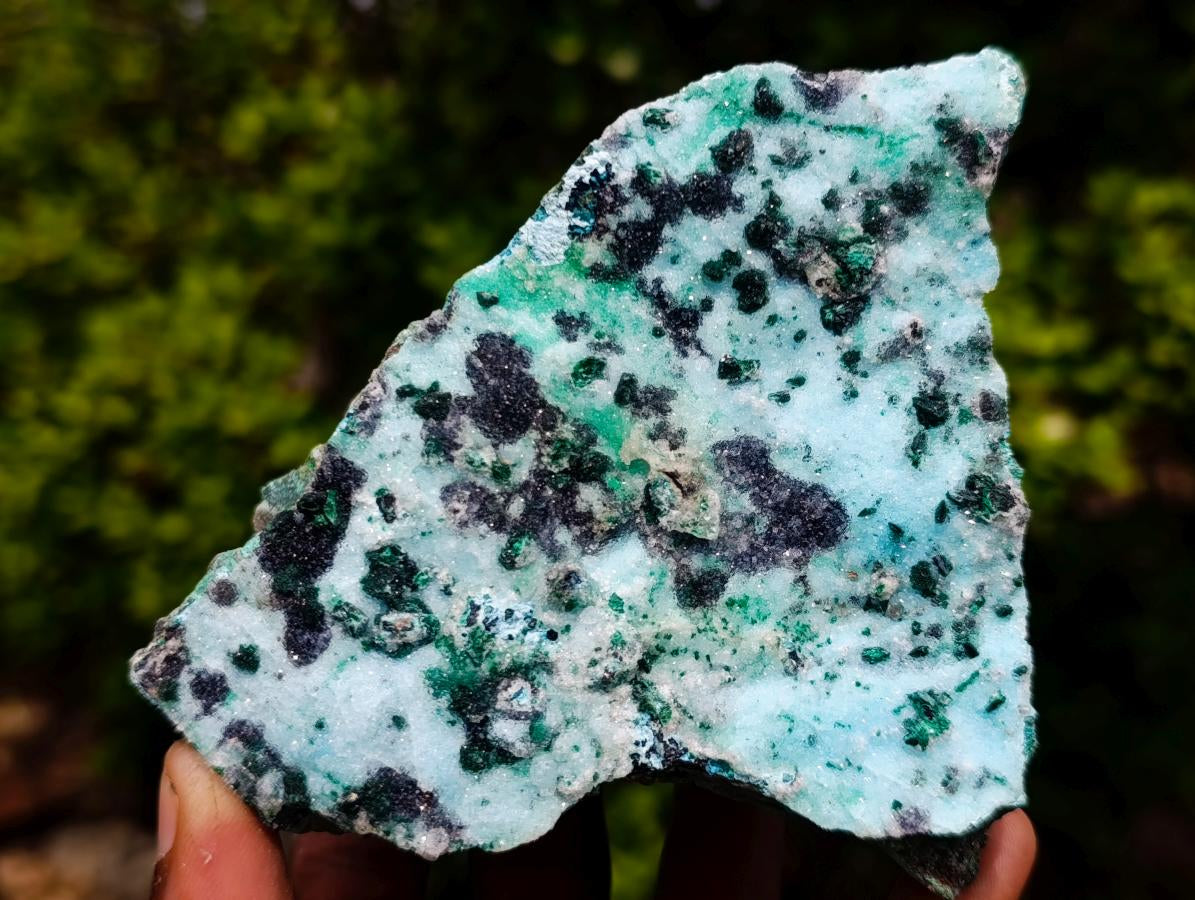 Natural Contrasting Triangular Drusy Coated Chrysocolla with Fibrous and Ball Malachite x 1 From Lupoto Mine, Congo